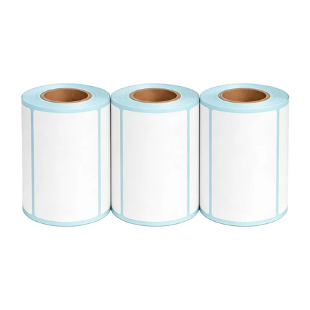 Three rolls of 100 × 60 mm shipping labels